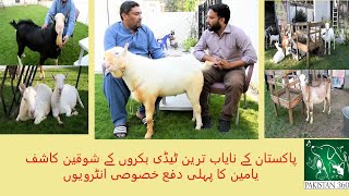 Pakistans most beautiful Goats  KK goat farm  Teedi Breed [upl. by Airdnala]