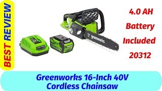 Greenworks 20312 Review 2019  Cordless Chainsaw [upl. by Esilanna]