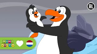 MIJN PAPA PINGUIN  Kinderliedjes  Minidisco [upl. by Juetta684]