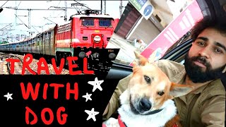 How to travel with dogs Pets through Train in India  Indian railways  Travel with Pet in Train [upl. by Dnomzed79]