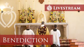 Benediction of the Blessed Sacrament  120921 St Thomas Aquinas Seminary [upl. by Noryahs968]