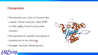 Electron Transport Chain ETC [upl. by Lamdin]