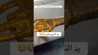 ‏يد النبي يحيى وعصى موسى في ‏متحف توب كابي في اسطنبول ￼￼ [upl. by Atteve21]