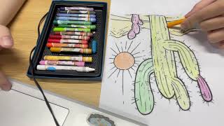 Instructions for coloring a picture of a cactus in the sun [upl. by Immanuel]