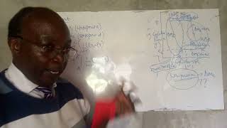 Lecture 48 Compressors and compression work [upl. by Hollah]