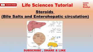 Bile salts and Enterohepatic Circulation  Steroids  Important Topic for all PGUG Classes [upl. by Edmonda]