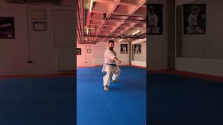 OHAN KATA  STEP BY STEP  TRAINING IN SPAIN [upl. by Onez]