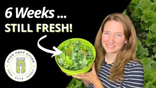 How to Keep Lettuce FRESH in the Fridge for 6 Weeks 🥬 [upl. by Henrique]