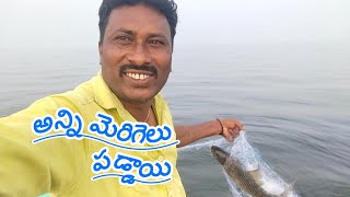 అన్ని మెరుగలే పడ్డాయి yatala shankar vlogs 🐬యాటల శంకర్ ఫిషింగ్ వీడియో🐬 [upl. by Haraj]