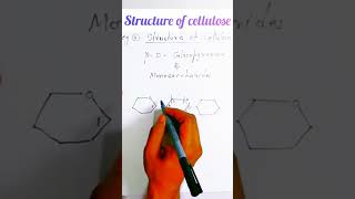 Haworth projection formula of cellulose [upl. by Dunlavy922]