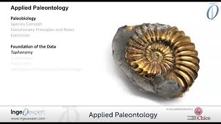 Applied Paleontology course [upl. by Werdma]