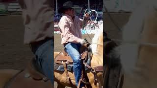 PONOKA HEEL SHOT rodeo [upl. by Kirk]