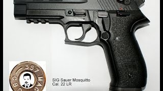 Pistole SIG Sauer Moquitto disassembly zerlegen [upl. by Cote776]