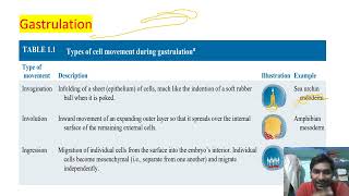 Developmental Biology  lecture 6  Gastrulation  movement in gastrula  CSIRNET GATE [upl. by Parker565]