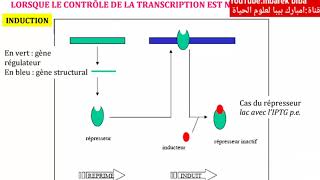 COURS DE REGULATION GENETIQUE  OPERONS CATABOLIQUES amp ANABOLIQUE partie 1 [upl. by Mathian]