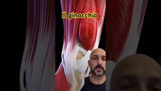 ginocchio benessere salute personaltrainer fitness posturalcorrection postural allenamento [upl. by Anay]