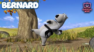 Taekwondo  Bernard 4Minute Cartoon for Kids [upl. by Rotkiv]