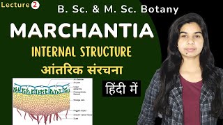 MARCHANTIA  Internal Structureआंतरिक संरचना  Botany [upl. by Lasala]