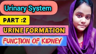 urine formation 😱  function of kidney part of nephron must watch ☑️✅studymotivation [upl. by Aksoyn338]