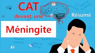 Méningite🙄 cest quoi la CAT 🤔  Résumé  Infectiologie [upl. by Sharma]