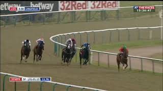 Racehorse shows incredible burst of speed [upl. by Niarb]