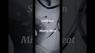 Sodikken  Misery Meat Sped up version sodikkensodikken [upl. by Nalo]