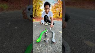 Remote Control Cobra🐍 And Snake Unboxing🔥 [upl. by Seerdi614]