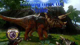 Taming max level trike and leveling up  ark season 1 ep5  ark survival evolved [upl. by Gaul428]