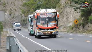 Carrera de buses carreras de buses [upl. by Hadnama]