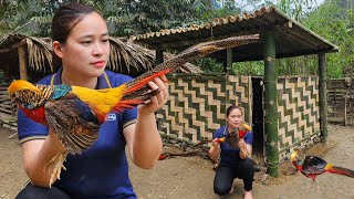 Building Bamboo House For Pheasant  Process From Start To Finish  Lý Thị Ca [upl. by Alveta]