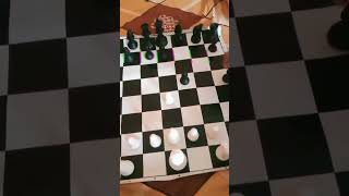 Bird s opening trap mate in 4 moves [upl. by Domineca]