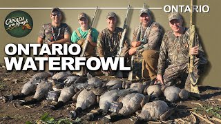 Intense Goose and Duck Hunting in Ontario  Canada in the Rough [upl. by Persons]