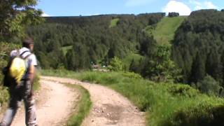 Randonnée dans les Vosges Chaume du Bas Chitelet [upl. by Desdee348]