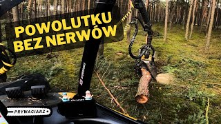 CIENKI ZRĄB 3🌲PRYWACIARZ🌲Ponsse Ergo 🌲 [upl. by Assirrec]