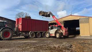 Curage de stabulation avec MANITOU MLT 840 145 PS [upl. by Allistir]