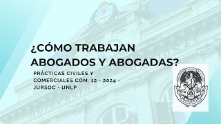 ¿Cómo trabajan abogados y abogadas [upl. by Syhr437]