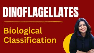 Dinoflagellates Characteristics amp Role  Class 11 NCERT Biology  Biological Classification [upl. by Htrag]