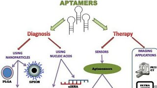 AIIMSampNEET BIOLOGY ampCSIRNET LIFESCIENCES w BIOTECHNOLOGYAPTAMERS [upl. by Inigo]