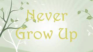 Taylor SwiftNever Grow Up Lyricson screen [upl. by Odlanier797]