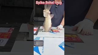 Fish scaler machine😱😱😱 trending satisfying shorts satisfyingvideo viralshort subscribe [upl. by Ahseiyn]