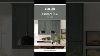 Sherwin Williams paint colors Homburg Gray [upl. by Liauqram]