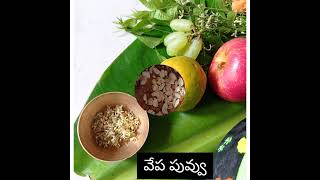 Ugadi pacchadiఉగాది పచ్చడి [upl. by Karlise301]