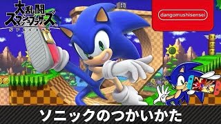 【スマブラSP】ソニック自身が教えるソニックのつかいかた [upl. by Kcirdec280]