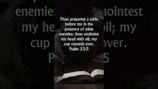 Psalm 235 KJV Audio Bible  You prepare a table before me [upl. by Nniroc]