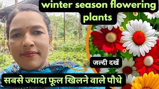 Winter season flowering plants Plants care growing tips [upl. by Tuttle]