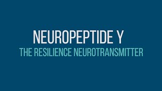 NPY  Stress Resilience Neuropeptide [upl. by Naibaf846]