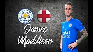 James Maddison ● Skills  Goals  Assists ●│2018  2019│►HD [upl. by Kerns484]