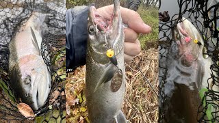 Steelhead amp Salmon Fishing With Spinners Blade Baits amp Beads Fall Steelhead Fishing Michigan Rivers [upl. by Nitsed]