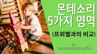 25 몬테소리교육 5가지 영역 프뢰벨과 특징 비교 [upl. by Kcirderf635]