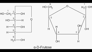 Number of Chiral centers and Stereoisomers Derieved from Dfructose [upl. by Herzel]